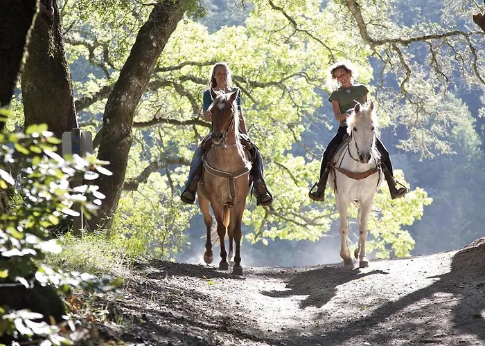 La Relojera 2 * Jarandilla de la Vera